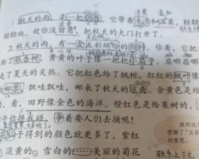 秋天的雨景如何描写？有哪些优美的短句总结？