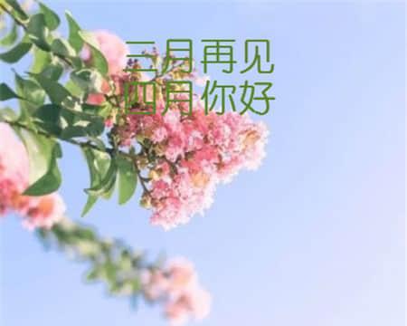 2023三月再见四月你好朋友圈好句有哪些？如何用好句迎接新的月份？