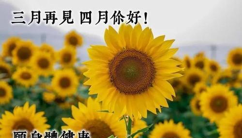 2023三月再见四月你好朋友圈好句有哪些？如何用好句迎接新的月份？