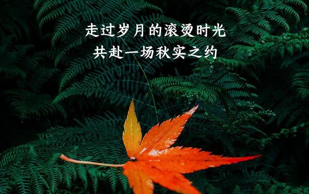 秋天的第一杯奶茶创意句子怎么写？有哪些流行的表达方式？