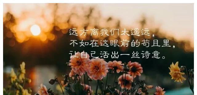 秋风落叶唯美的句子有哪些？如何用它们表达秋天的情感？