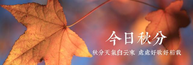 秋分时节温馨问候句子有哪些？如何用句子表达秋分的祝福？