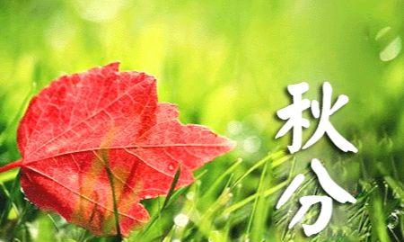 秋分微信唯美句子精选有哪些？如何在秋分时节分享微信唯美句子？