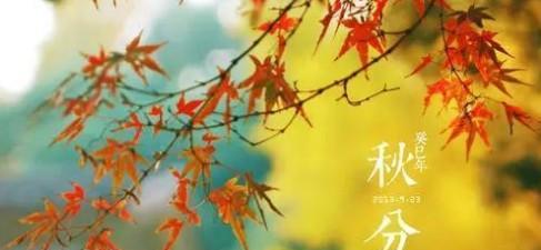 秋分微信唯美句子精选有哪些？如何在秋分时节分享微信唯美句子？