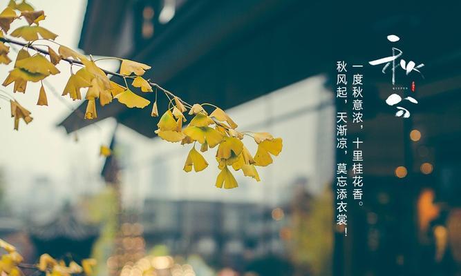 秋分微信朋友圈怎么发？分享哪些应节气的文案？