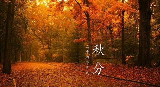 秋分朋友圈说说怎么写？有哪些创意文艺句子推荐？