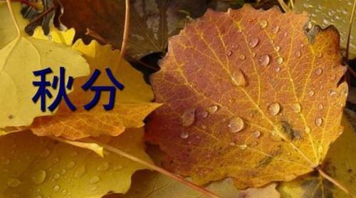秋分朋友圈句子说说？如何用诗意的句子表达秋分的意境？