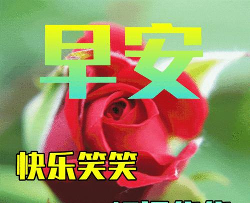 秋分浪漫句子96句有哪些？如何用这些句子表达秋日情感？