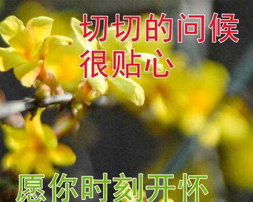 秋分浪漫句子96句有哪些？如何用这些句子表达秋日情感？