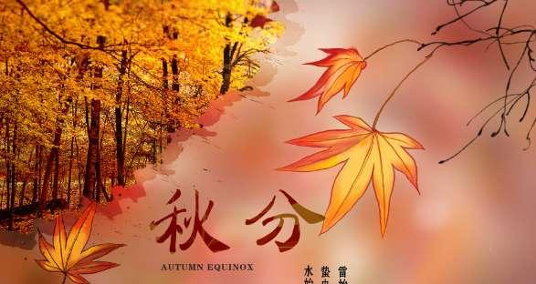 秋分经典唯美句子有哪些？如何用这些句子表达秋天的情感？