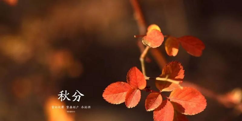 秋分节气祝福句子有哪些？如何用诗句表达秋分祝福？