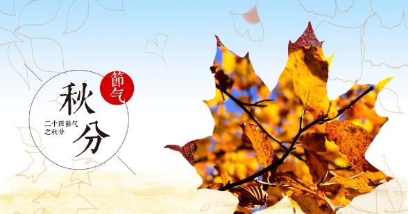 秋分节气问候短信祝福语2023有哪些？如何编写创意祝福语？