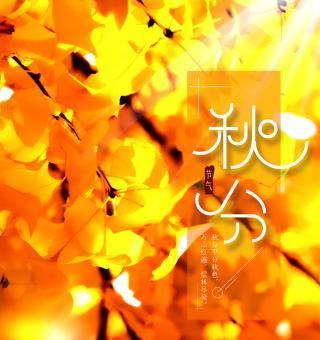 秋分时节的唯美感慨句子有哪些？如何表达秋分的情感？