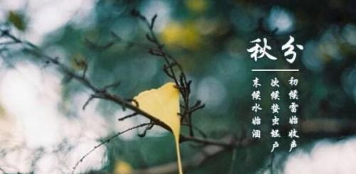 秋分节气微信祝福句子怎么写？有哪些创意祝福语？