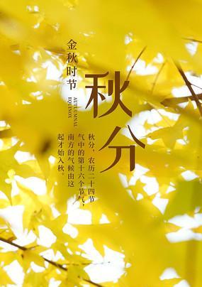 秋分节气如何调整心情？分享适合秋分的温馨短语有哪些？