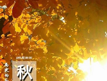 秋分节气如何调整心情？分享适合秋分的温馨短语有哪些？