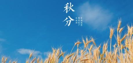 秋分节气群发祝福句子怎么写？有哪些创意祝福语？