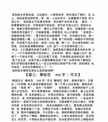 我家乡初中优秀的名人（勤奋与才华并重，他们在初中就成为了优秀的名人）
