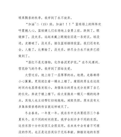 阳光下的成长（一位少年的青春往事）