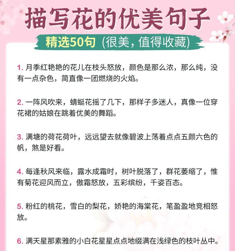 文明之花的奇幻旅程（一朵小花的成长故事）