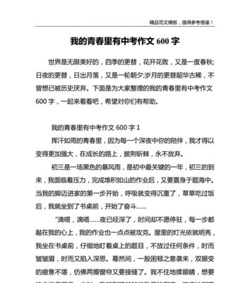 青春的回忆：一段珍贵的记忆