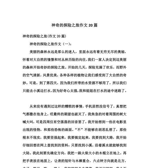 深入森林探险之旅