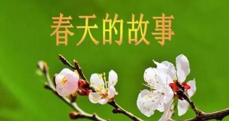 大自然与我】（大自然与我】）