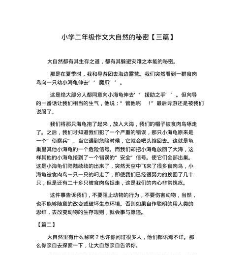 山中的秘密（山中的秘密）
