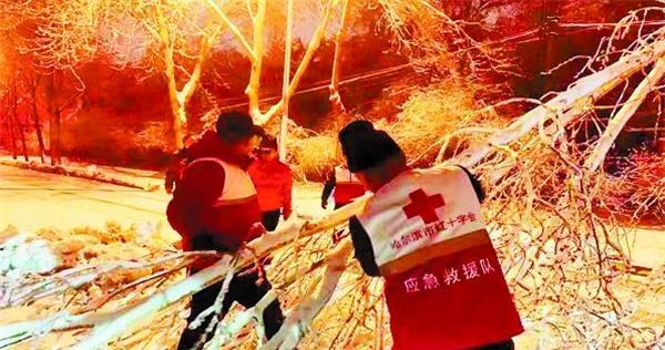 志愿者的故事（志愿者的故事）