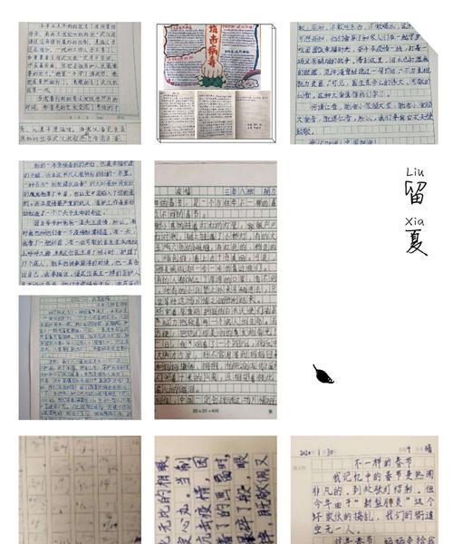 不停学的故事（疫情下，教育的新变革）