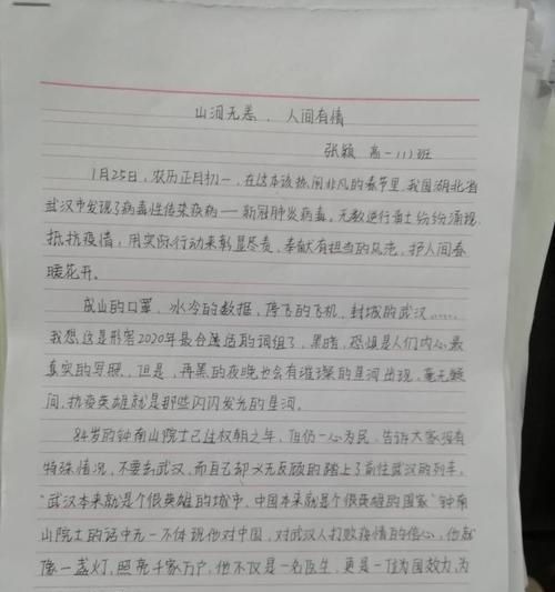 生命之舟（一群平凡人的抗疫征程）