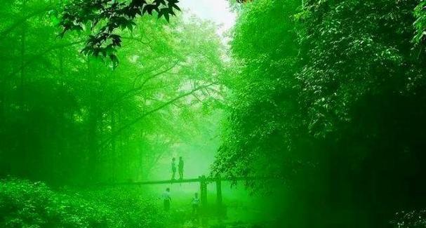 花开花落，生命轮回（花落花开，人生掌握）