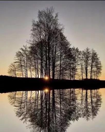 懂得人生百态的句子有哪些？如何理解它们的深层含义？