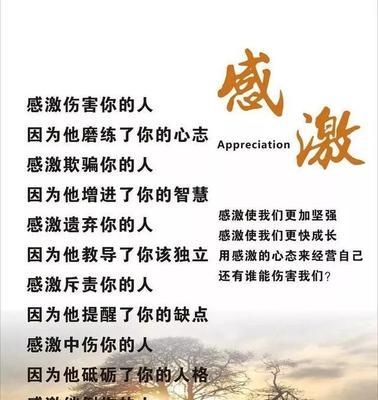 如何用正能量句子表达感恩？懂得感恩的句子有哪些特点？