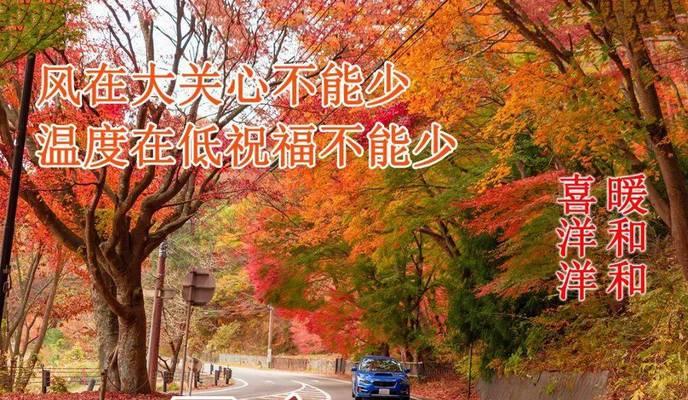 冬至早安心语正能量2023有哪些？如何用早安心语传递正能量？