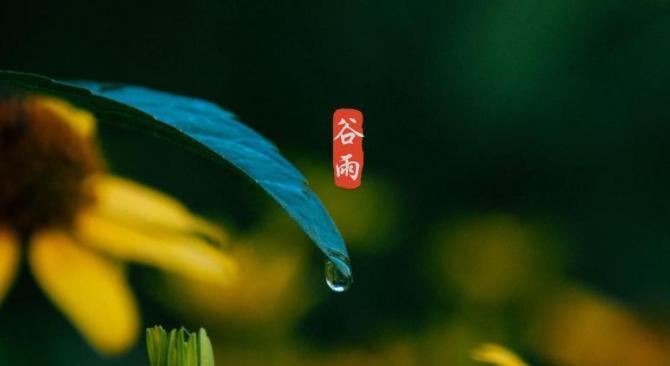 谷雨时节发朋友圈用哪些好句？短句有哪些推荐？