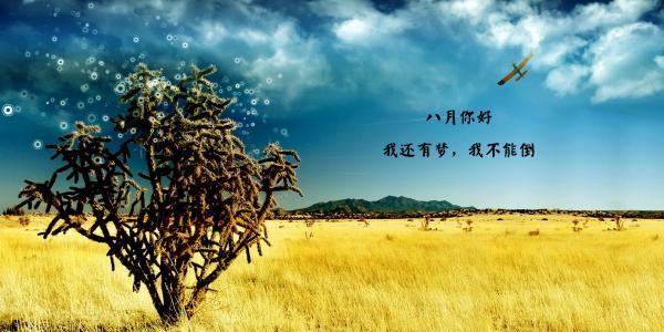 关于八月的唯美句子好句有哪些？如何用它们来表达情感？