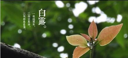 关于白露节气的好句有哪些？白露节气的诗句怎么写？