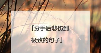 毕业季伤感句子有哪些？如何表达毕业的不舍？