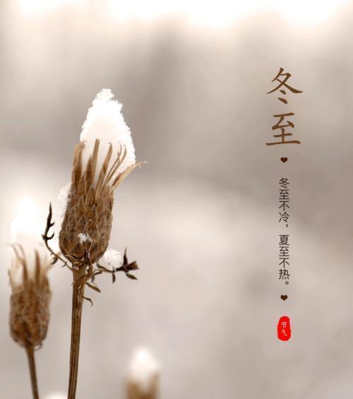 关于冬至的经典好句有哪些？如何在冬至表达情感？