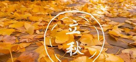 关于立秋的句子好句有哪些？如何用诗句表达立秋的意境？