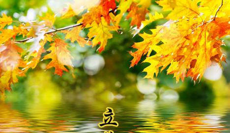 关于立秋的句子好句有哪些？如何用诗句表达立秋的意境？