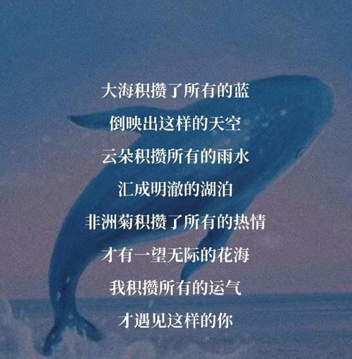 关于流星唯美好句短句有哪些？如何用它们表达情感？