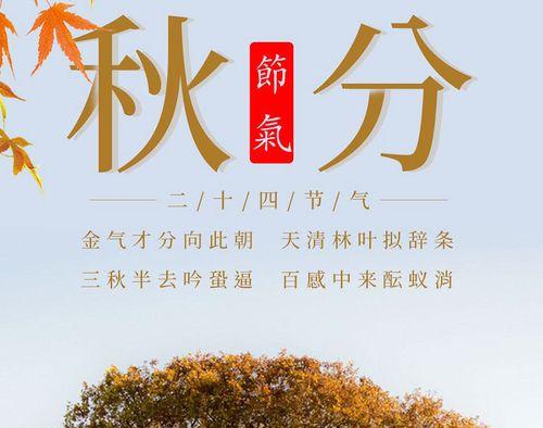 秋分时节有哪些唯美的诗句？如何用短句表达秋分的意境？