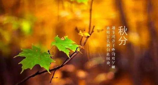 秋分时节有哪些唯美的诗句？如何用短句表达秋分的意境？