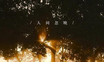 关于秋天的抖音好句有哪些？如何在秋季用抖音表达情感？