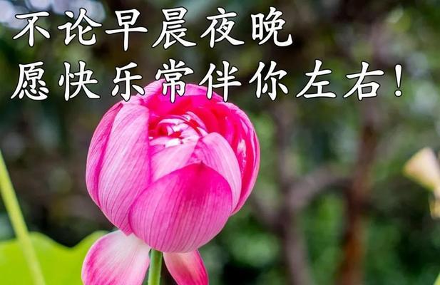冬至的优美句子短句有哪些？如何用简短的语句表达冬至的美？