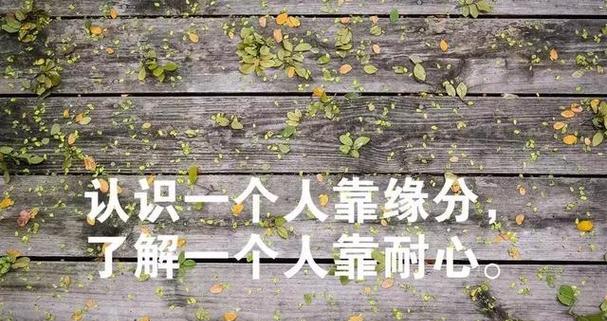 冬天冷的说说心情短语有哪些？如何表达冬季的寒冷感受？