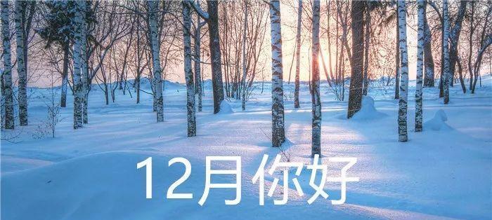 关于十二月你好好句句子是什么意思？常见问题有哪些？