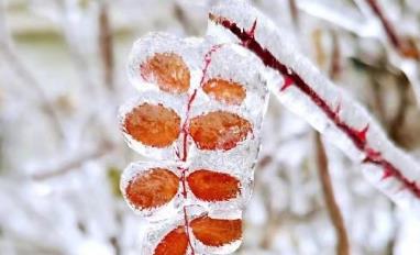 冬天第一场雪说说？如何记录和分享这个特别的时刻？